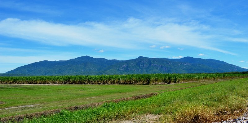 05Tville (39).JPG - Cane fields between Homehill and Townsville